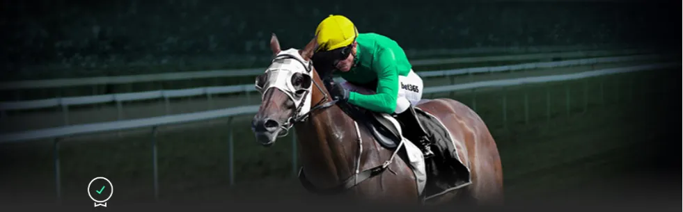 中国品牌进,军高端市场,挑战德系车,星空体育官网,星空体育App,星空体育网页版,星空体育直播,星空体育入口